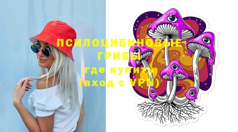 ссылка на мегу зеркало  Анадырь  Галлюциногенные грибы Psilocybe 